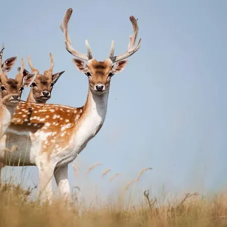 House Sea La Vie 50 Meters From The Apartman *