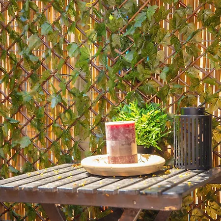 Appartement House Sea La Vie 50 Meters From The Zandvoort